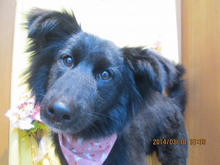 ファイル 7325-1.jpg