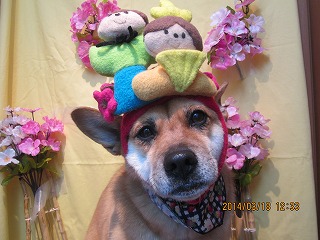 ファイル 7326-2.jpg