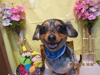 ファイル 7327-1.jpg