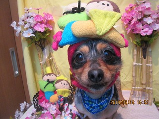 ファイル 7327-2.jpg