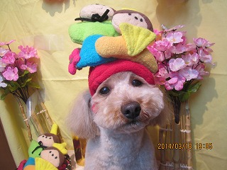 ファイル 7328-2.jpg