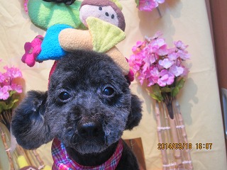 ファイル 7329-2.jpg