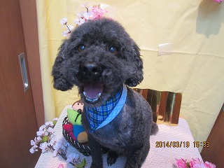 ファイル 7331-1.jpg