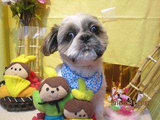 ファイル 7332-2.jpg