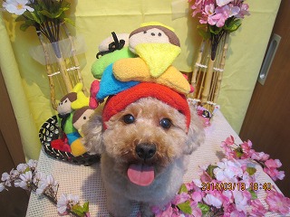 ファイル 7333-2.jpg