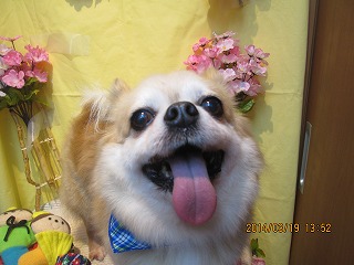 ファイル 7334-1.jpg