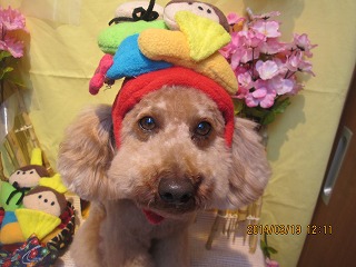 ファイル 7336-2.jpg