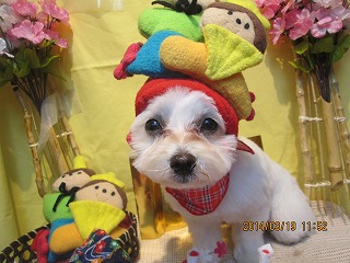 ファイル 7337-2.jpg