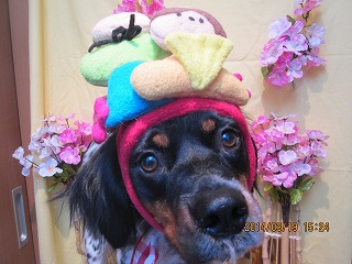 ファイル 7338-2.jpg