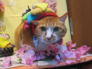 ファイル 7340-1.jpg