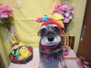 ファイル 7341-2.jpg