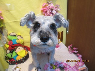 ファイル 7342-1.jpg