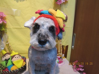 ファイル 7342-2.jpg