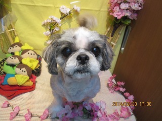 ファイル 7343-1.jpg