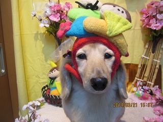 ファイル 7344-2.jpg