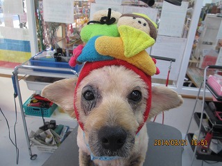 ファイル 7345-2.jpg