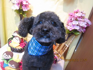 ファイル 7347-1.jpg