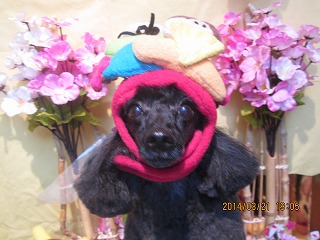 ファイル 7349-2.jpg