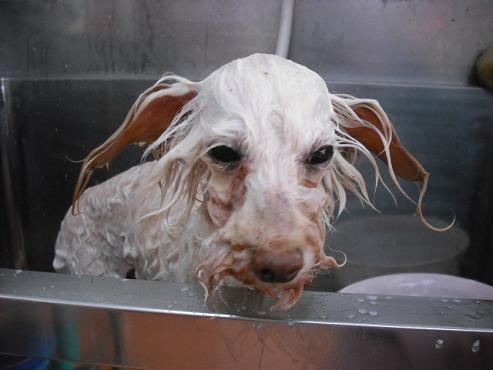 ファイル 735-2.jpg