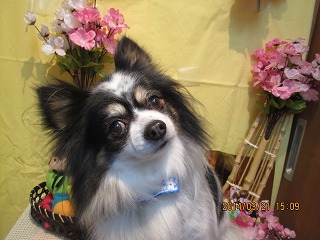 ファイル 7350-1.jpg