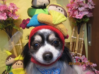 ファイル 7350-2.jpg