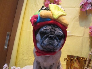 ファイル 7351-2.jpg