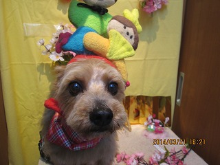 ファイル 7352-2.jpg