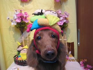 ファイル 7353-2.jpg