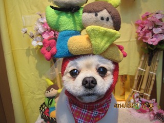 ファイル 7354-2.jpg