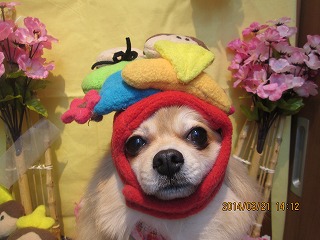 ファイル 7355-2.jpg