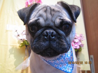 ファイル 7356-1.jpg