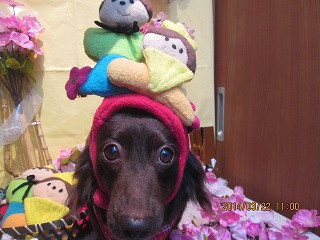 ファイル 7357-2.jpg