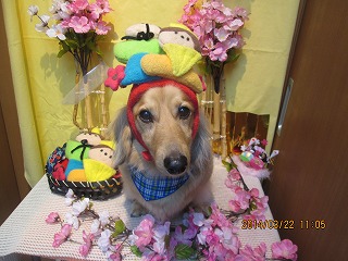 ファイル 7358-2.jpg