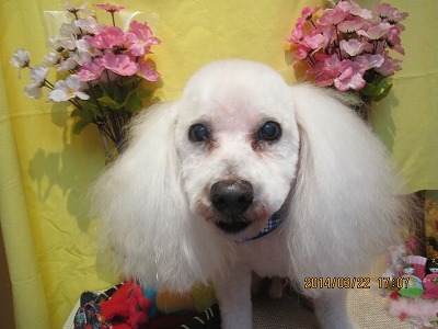 ファイル 7359-1.jpg