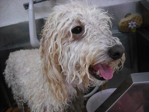 ファイル 736-2.jpg