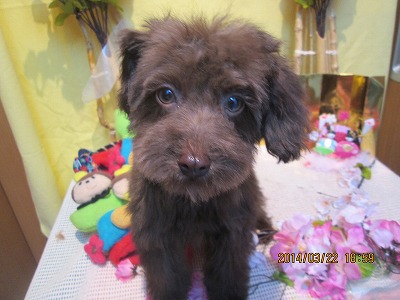 ファイル 7362-1.jpg