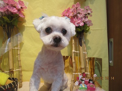 ファイル 7363-1.jpg