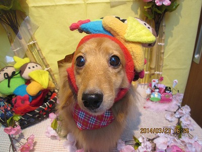 ファイル 7368-2.jpg