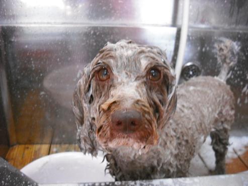 ファイル 737-2.jpg