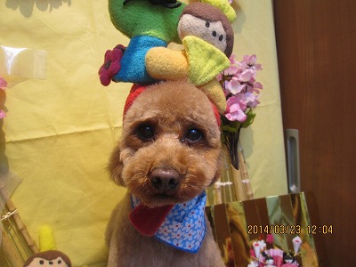 ファイル 7372-2.jpg