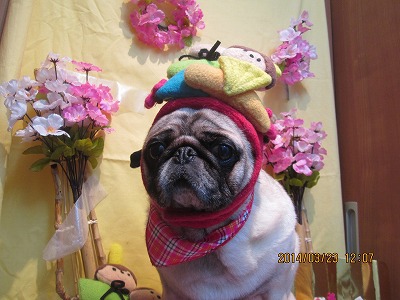 ファイル 7373-2.jpg