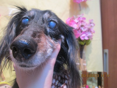 ファイル 7374-1.jpg