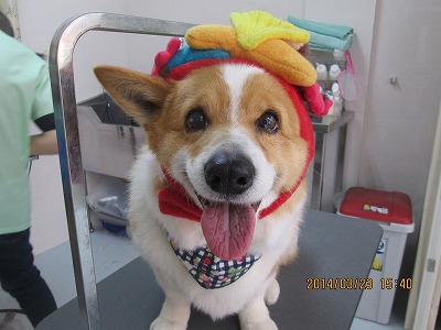 ファイル 7375-2.jpg