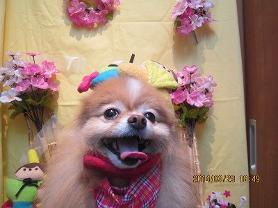 ファイル 7376-2.jpg