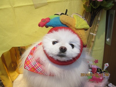 ファイル 7377-2.jpg