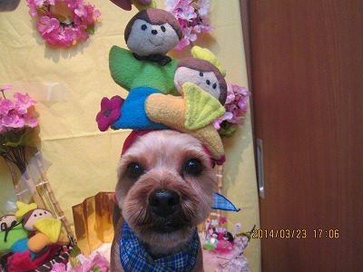 ファイル 7378-2.jpg