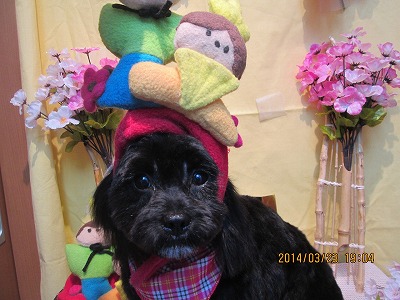 ファイル 7379-2.jpg