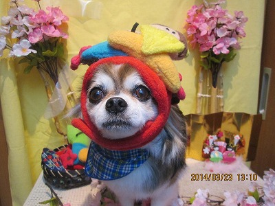 ファイル 7380-2.jpg