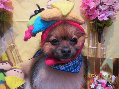 ファイル 7382-2.jpg