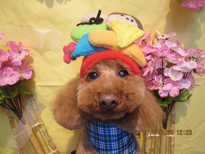 ファイル 7384-2.jpg